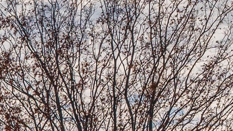 Las propuestas republicanas también han puesto en la mira el sistema educativo del país.