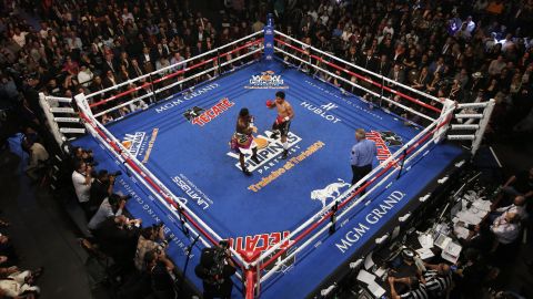 Boxeo en vivo hoy