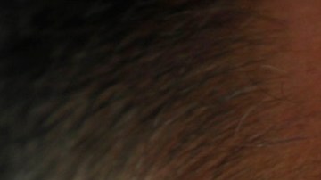 El 21 de febrero del 2023, Genaro García Luna fue hallado culpable de cinco delitos.