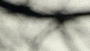 La tienda Costco anunció reducción de precios en sus productos Kirkanld