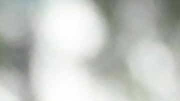 Ruth Chepngetich, maratonista de Kenia.