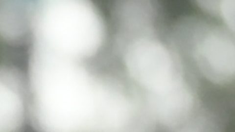 Ruth Chepngetich, maratonista de Kenia.