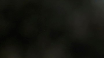 En algunos estados se traduce a varios idiomas información electoral.