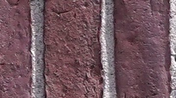 TD Bank pagará una sanción histórica por permitir el lavado de dinero del narcotráfico.