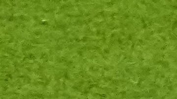 Argentina vs. México en el Mundial de Qatar 2022.