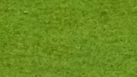 Argentina vs. México en el Mundial de Qatar 2022.