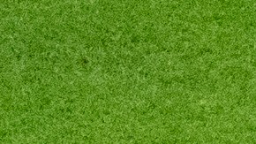 Guillermo "Memo" Ochoa ha disputado los últimos cinco Mundiales con la Selección de México.