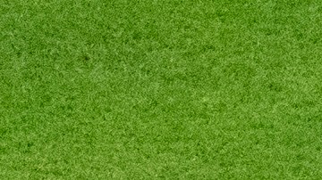 Guillermo "Memo" Ochoa ha disputado los últimos cinco Mundiales con la Selección de México.