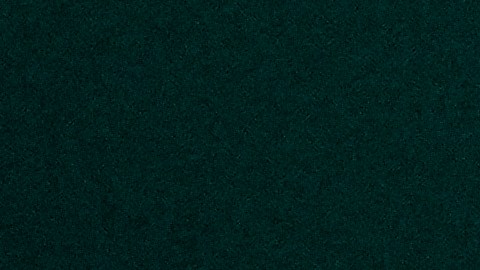 La estrella portuguesa Cristiano Ronaldo ya va por los 905 goles de por vida en su carrera.