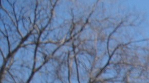 La comunidad LGBTQ lleva años luchando por sus derechos.