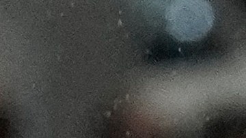 Marcelo Bielsa durante el encuentro que Uruguay igualó sin goles ante Venezuela el pasado 10 de septiembre en Maturín.