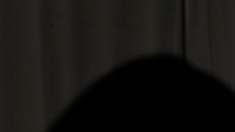 Los latinos afirman que ha aumentado su interés en la información electoral.
