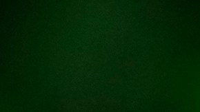 El director de Red Bull, Christian Horner contradijo la versión del mexicano Sergio "Checo" Pérez.