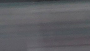 El mexicano Daniel Suárez (99) y Kyle Larson (5) durante la carrera de la Cup Series de Nascar realizada en Kansas City el 29 de septiembre, en el inicio de la ronda de los 12.