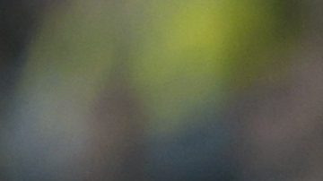 Columbus Crew's Alexandru Matan, left, chases Inter Miami's Lionel Messi during the second half of an MLS soccer match, Wednesday, Oct. 2, 2024, in Columbus, Ohio. (AP Photo/Jay LaPrete)