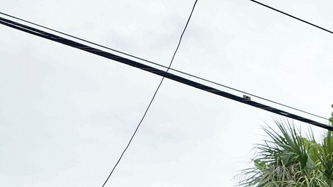 Florida todavía enfrenta los daños del huracán Helene.