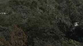 Hasta el momento se han confirmado 10 muertes por el paso del huracán Milton en Florida.