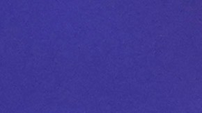 Biden dio una de sus más enérgicas críticas contra Trump durante un evento político en Pensilvania.