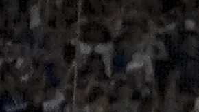 Los Dodgers celebran tras el último out del sexto juego de la Serie de Campeonato contra los Mets de Nueva York para obtener su boleto a la Serie Mundial de 2024.