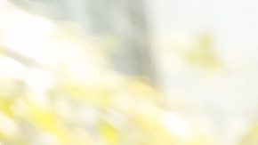 Red Bull driver Sergio Perez, from Mexico, holds his national flag during a press conference in Mexico City, Wednesday, Oct. 23, 2024, ahead of the Formula One Mexico Grand Prix auto race next weekend. (AP Photo/Moises Castillo)