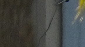 A mural is displayed of Los Angeles Dodgers legend Fernando Valenzuela at Dodger Stadium Thursday, Oct. 24, 2024, in Los Angeles. Valenzuela died Tuesday at age 63. The New York Yankees face the Dodgers in Game 1 of the baseball World Series Friday. (AP Photo/Julio Cortez)