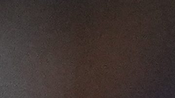 Freddie Freeman es recibido en la caseta de los Dodgers con semillas de girasol como es costumbre luego de cada jonrón. El primera base se voló la barda por segundo juego seguido contra los Yankees.