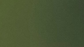 Los pilotos de la escudería Red Bull, Sergio "Checo" Pérez y Max Verstappen durante el fin de semana del Gran Premio de México.