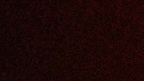 Max Verstappen durante la conferencia de prencia previa al GP de Sao Paulo.