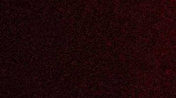 Max Verstappen durante la conferencia de prencia previa al GP de Sao Paulo.