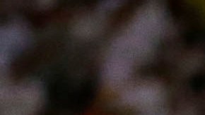 Iker Casillas, al centro, ve con buenos ojos que se disputen partido del campeonato español en Estados Unidos.