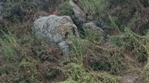 Accidente de autobús