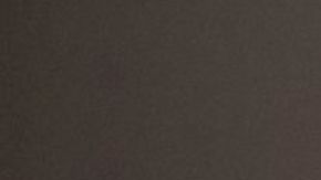 Adamari López pareja