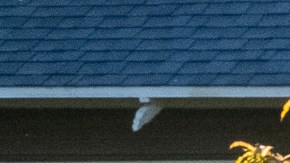 Wendy Guidiño trabaja hasta 12 horas los días de venta.