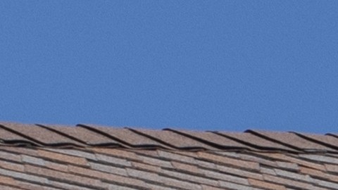 Aldi tiene 10 nuevos productos que se consiguen a menos de $10