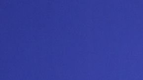 Alicia Machado Liam Payne