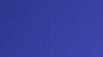 Alicia Machado Liam Payne