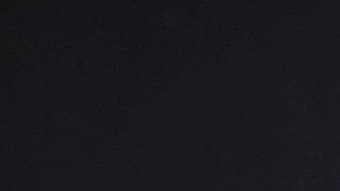 Se está preparando el regreso de ‘Scary Movie’: ¿Qué se sabe?