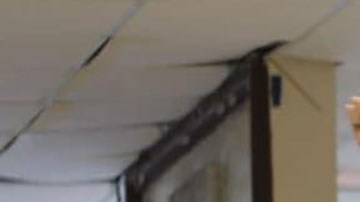 Antonio Flores Guerra