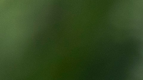 Biden anuncia envío de otros 500 soldados para las labores de recuperación de Helene