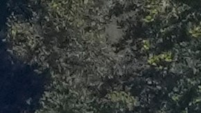 Una vista de los daños en Asheville, Carolina del Norte, durante el recorrido aéreo con el presidente Joe Biden, por áreas afectadas por el huracán Helene.