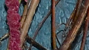 Blake Lively y Ryan Reynolds ayudan a las víctimas de los huracanes Milton y Helene