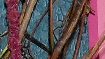 Blake Lively y Ryan Reynolds ayudan a las víctimas de los huracanes Milton y Helene