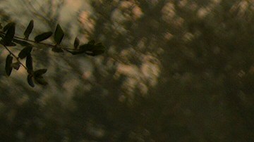 A firefighter sprays a hose to a smoldering property while battling the Airport Fire Tuesday, Sept. 10, 2024, in El Cariso, an unincorporated community in Riverside County, Calif. (AP Photo/Eric Thayer)