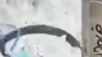 Casas de pánico en México