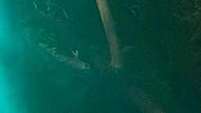 AME3302. LOS ÁNGELES (ESTADOS UNIDOS), 31/10/2024.- Aficionados de los Dodgers rinden homenaje este miércoles a Fernando Valenzuela, en el Estadio de los Dodgers en Los Ángeles (Estados Unidos). Al son de "¡Vamos Dodgers!" y "¡Los Yanquis apestan!", cientos de aficionados al béisbol se congregaron a las afueras del Estadio de los Dodgers, en Los Ángeles, para celebrar el triunfo de los angelinos en la Serie Mundial de las Grandes Ligas (MLB).EFE/ Mónica Rubalcava