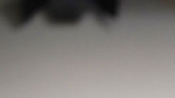 Chris Christie, exgobernador republicano