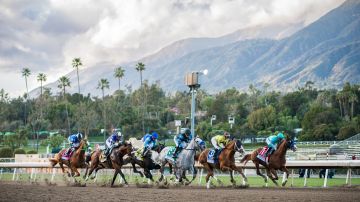 Imagen espectacular de una típica tarde de carreras en el histórico hipódromo angelino de Santa Anita.