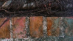 Decenas de tigres mueren de gripe aviar en el sur de Vietnam