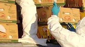 Decomiso de cocaína