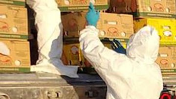 Decomiso de cocaína